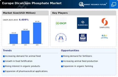 Europe Dicalcium Phosphate Market Infographic