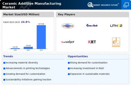 Ceramic Additive Manufacturing Market Infographic
