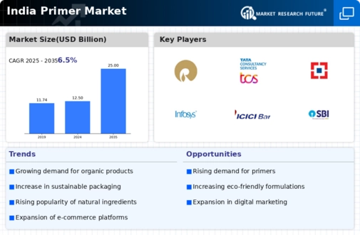 India Primer Market Infographic