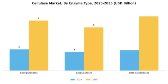 Cellulase Market Segment Image 0
