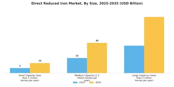 Direct Reduced Iron Market Segment Image 3