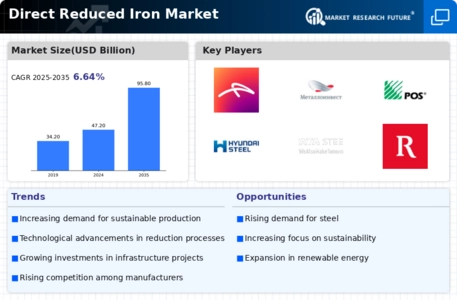 Direct Reduced Iron Market Infographic