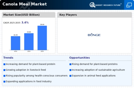 Canola Meal Market Infographic