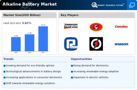 Alkaline Battery Market Infographic