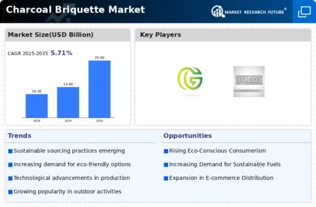 Charcoal Briquette Market Infographic