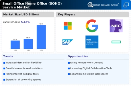 Small Office Home Office Service Market Infographic