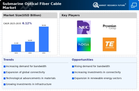 Submarine Optical Fiber Cable Market Infographic