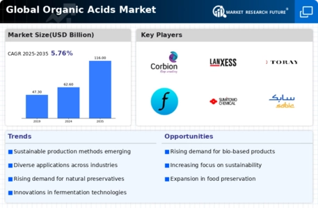 Organic Acids Market Infographic