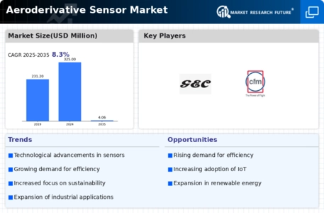 Aeroderivative Sensor Market  Infographic