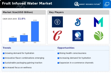 Fruit Infused Water Market Infographic