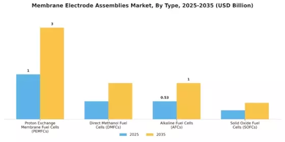 Membrane Electrode Assemblies Market Segment Image 0