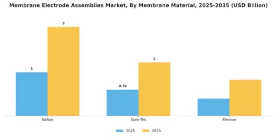 Membrane Electrode Assemblies Market Segment Image 3