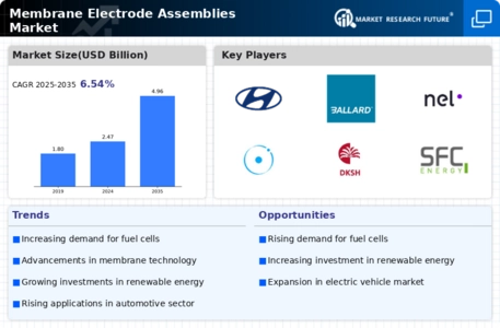 Membrane Electrode Assemblies Market Infographic