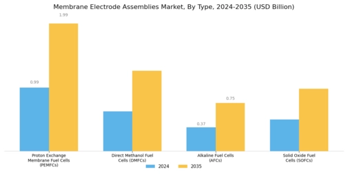 Membrane Electrode Assemblies Market Segment Image 0