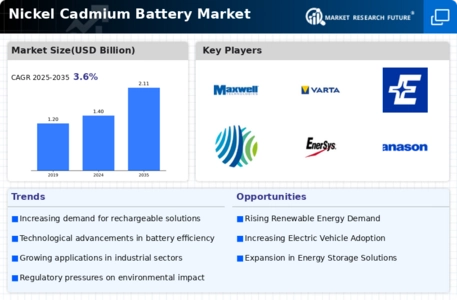 Nickel Cadmium Battery Market Infographic