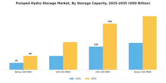 Pumped Hydro Storage Market Segment Image 0