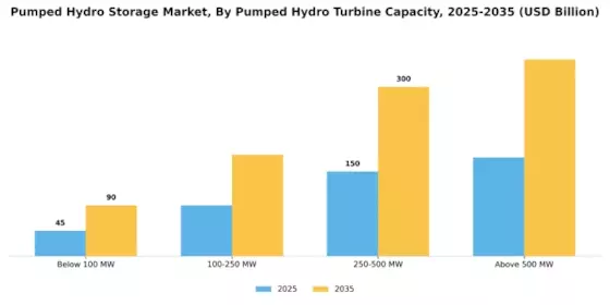 Pumped Hydro Storage Market Segment Image 1