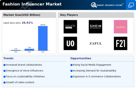 Fashion Influencer Market Infographic