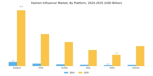 Fashion Influencer Market Segment Image 2