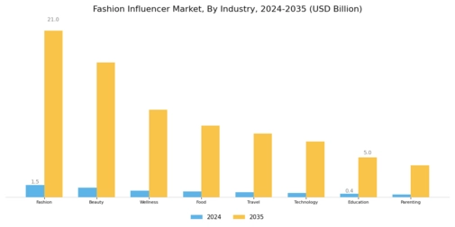 Fashion Influencer Market Segment Image 4