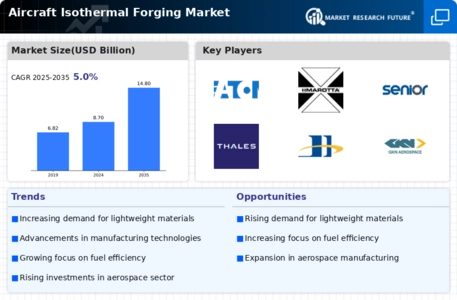 Aircraft Isothermal Forging Market  Infographic