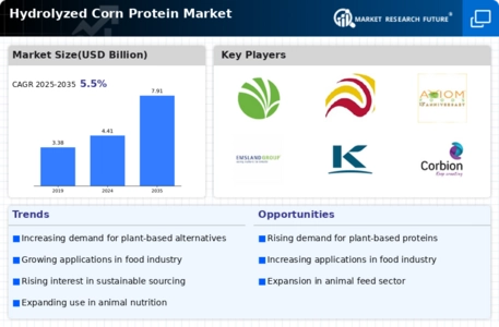 Hydrolyzed Corn Protein Market Infographic