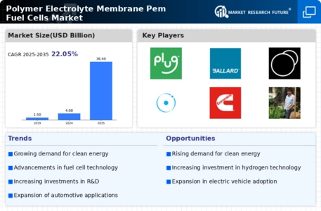 Polymer Electrolyte Membrane Pem Fuel Cells Market Infographic