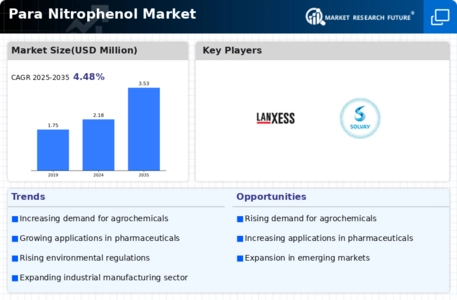 Para Nitrophenol Market Infographic