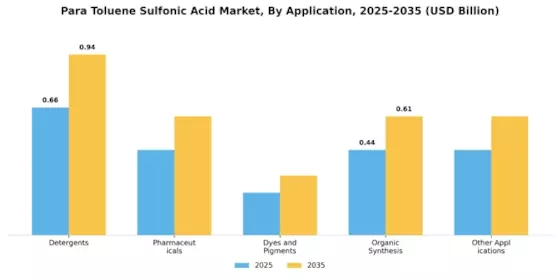 Para Toluene Sulfonic Acid Market Segment Image 0