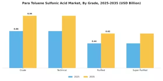 Para Toluene Sulfonic Acid Market Segment Image 1