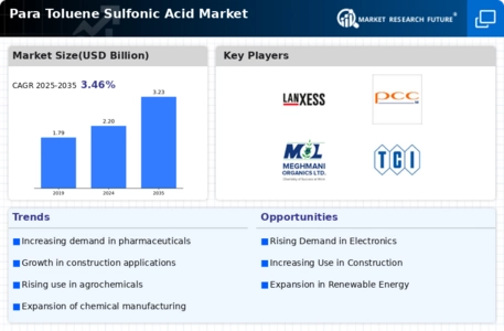 Para Toluene Sulfonic Acid Market Infographic