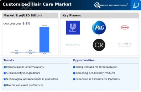 Customize Hair Care Market Infographic
