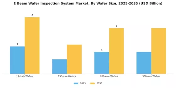 E Beam Wafer Inspection System Market Segment Image 0