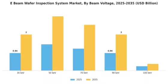E Beam Wafer Inspection System Market Segment Image 1