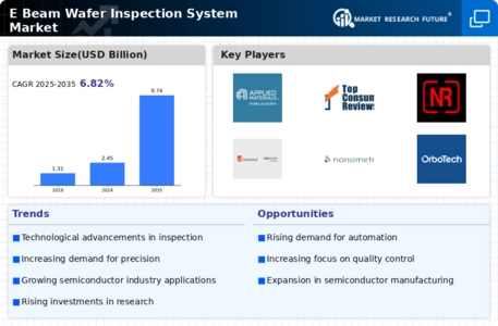 E Beam Wafer Inspection System Market Infographic