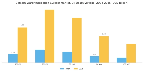 E Beam Wafer Inspection System Market Segment Image 1