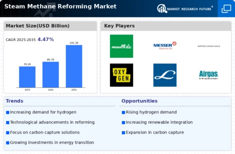 Steam Methane Reforming Market Infographic