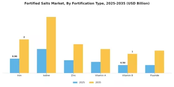 Fortified Salts Market Segment Image 0