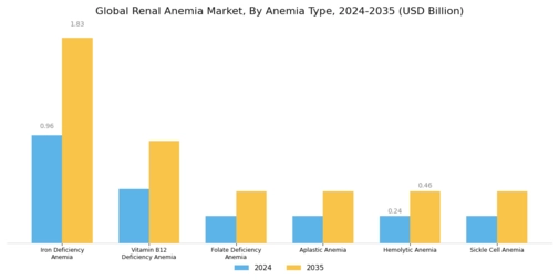 Renal Anemia Market Segment Image 0