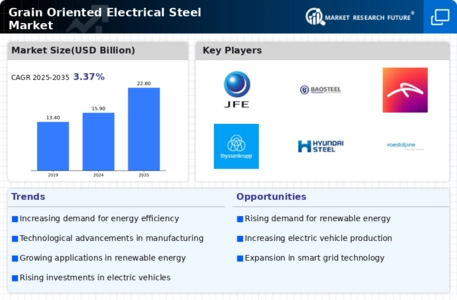 Grain Oriented Electrical Steel Market Infographic