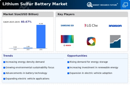 Lithium Sulfur Battery Market Infographic