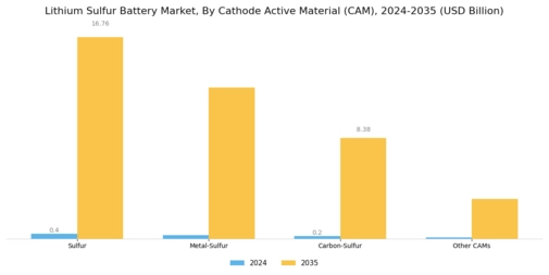 Lithium Sulfur Battery Market Segment Image 2