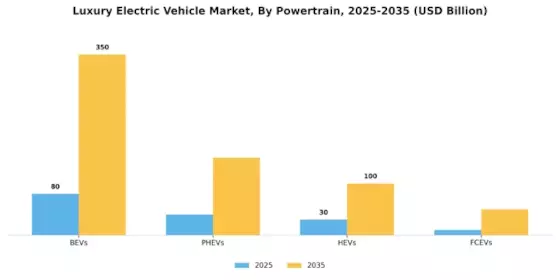 Luxury Electric Vehicle Market Segment Image 0
