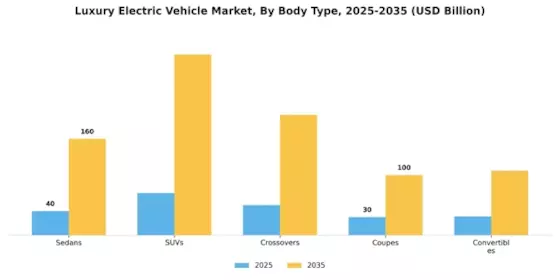 Luxury Electric Vehicle Market Segment Image 1