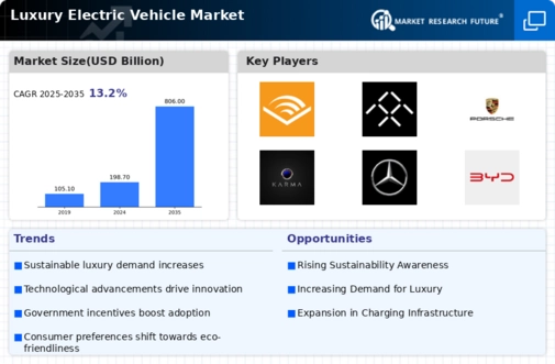 Luxury Electric Vehicle Market Infographic