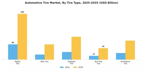 Automotive Tire Market Segment Image 2