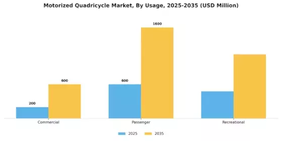 Motorized Quadricycle Market Segment Image 1