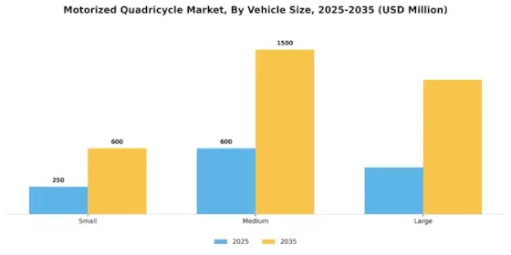 Motorized Quadricycle Market Segment Image 2