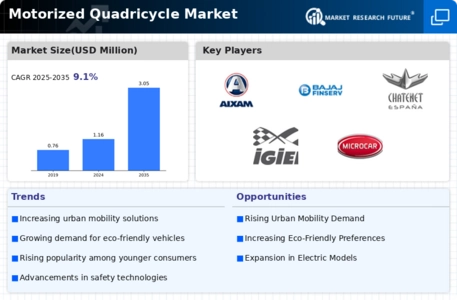 Motorized Quadricycle Market Infographic
