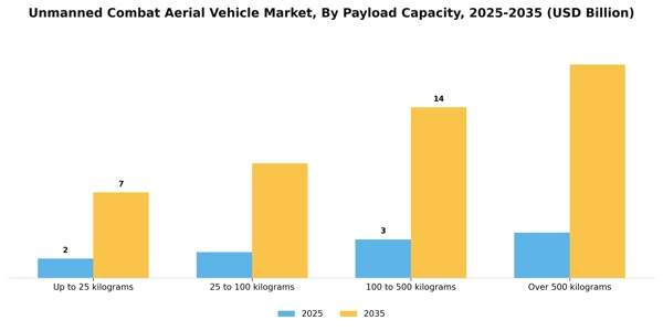 Unmanned Combat Aerial Vehicle Market Segment Image 3